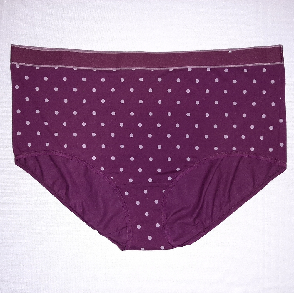 NWOT 💜 Cacique Brief